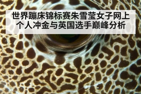 世界蹦床锦标赛朱雪莹女子网上个人冲金与英国选手巅峰分析